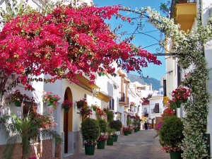 Estepona Campus